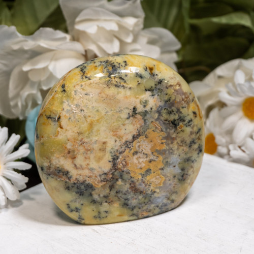 Dendritic Agate Freeform #2