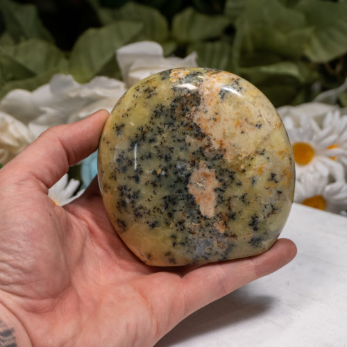 Dendritic Agate Freeform #2