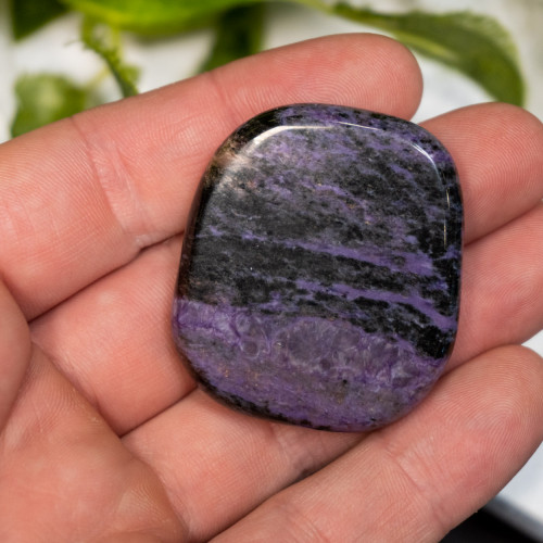 Charoite Palmstone #5