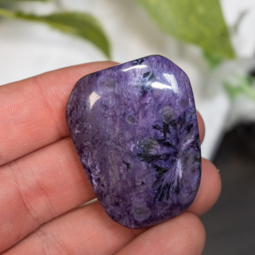Charoite Palmstone #3