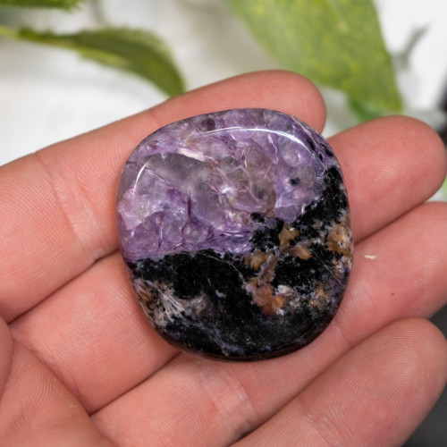 Charoite Palmstone #2