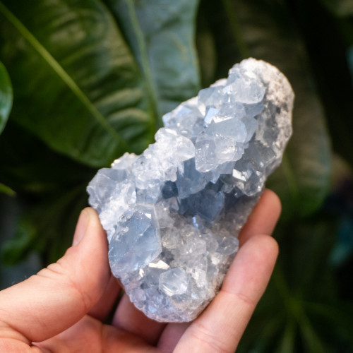 Celestite #19