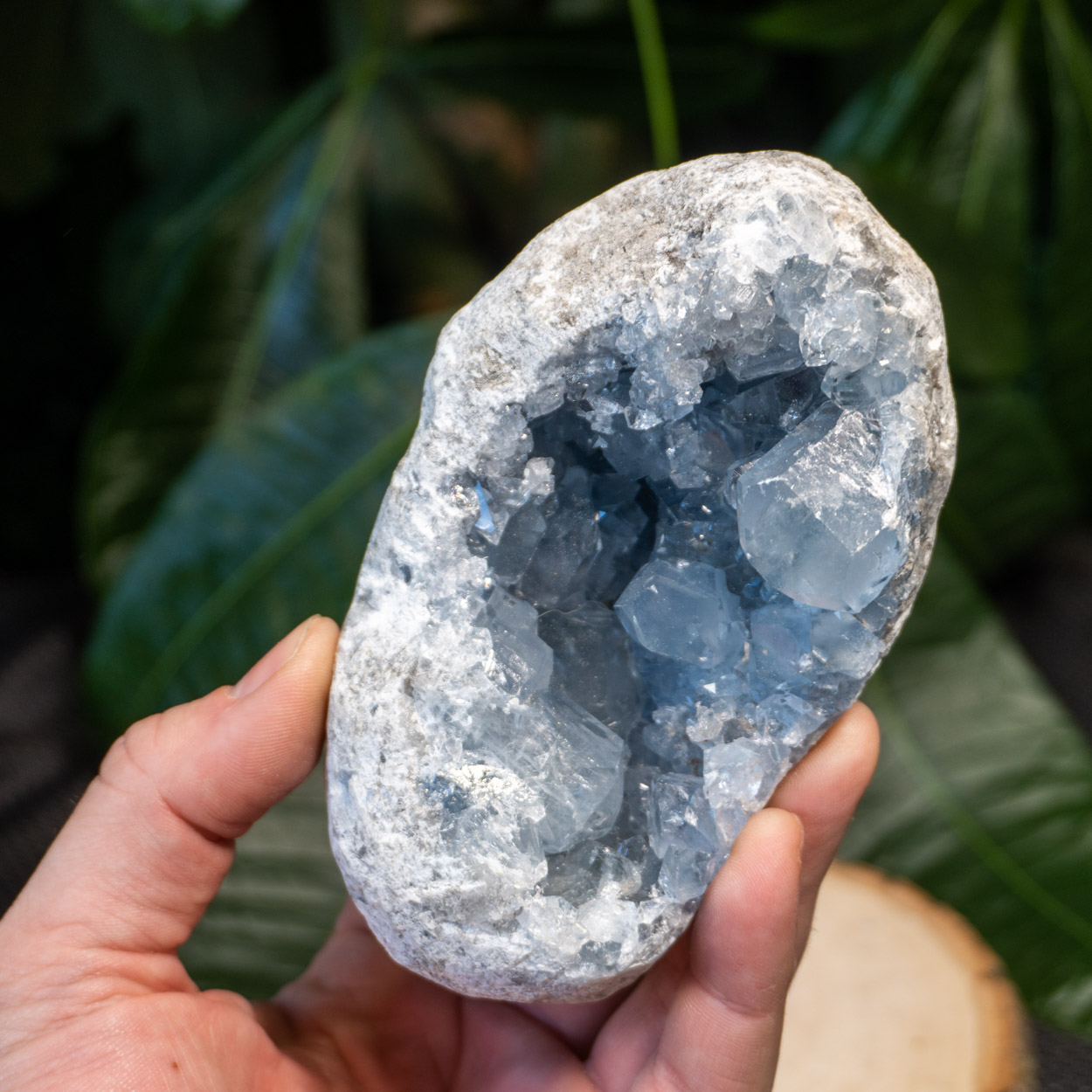 Celestite #16 - The Crystal Council