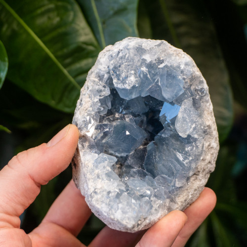 Celestite #15