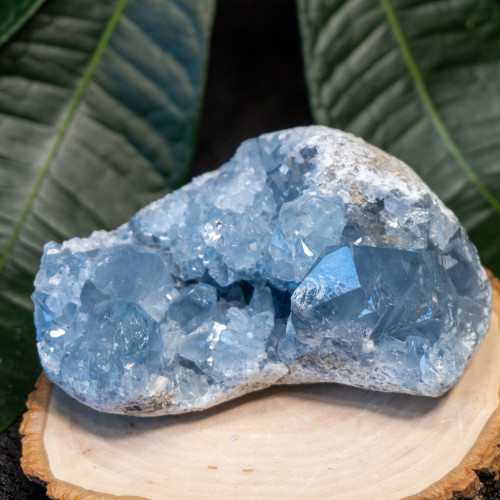 Celestite #13