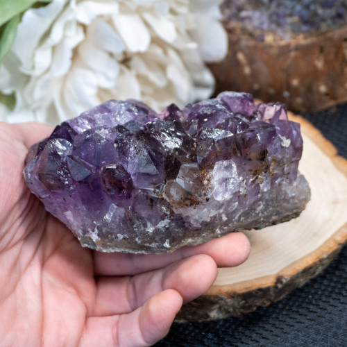 Brazilian Amethyst Raw Cluster #14