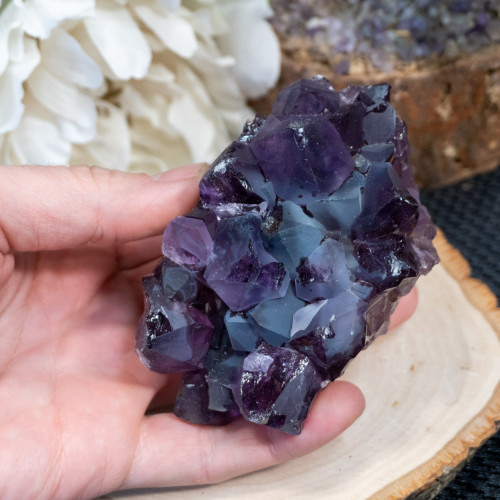 Brazilian Amethyst Raw Cluster #12