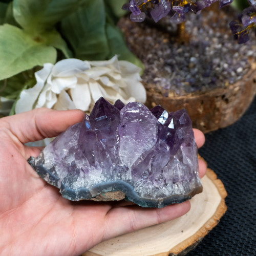 Brazilian Amethyst Raw Cluster #6