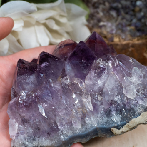 Brazilian Amethyst Raw Cluster #6