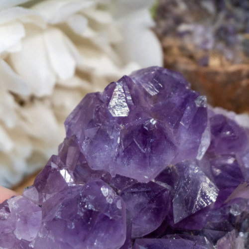 Brazilian Amethyst Raw Cluster #5