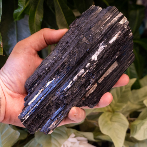 Black Tourmaline #8