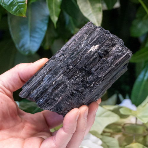 Black Tourmaline #6