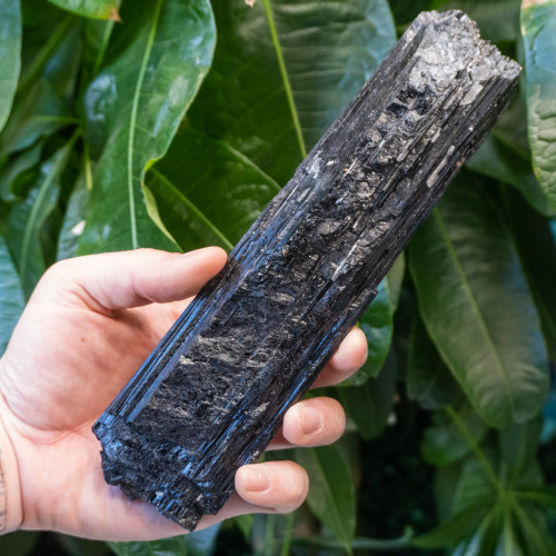 Black Tourmaline #4