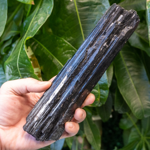 Black Tourmaline #4