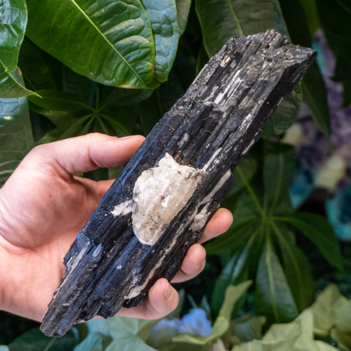 Black Tourmaline #3
