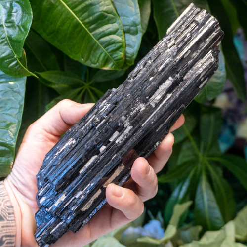 Black Tourmaline #3