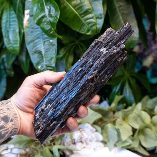 Black Tourmaline #2