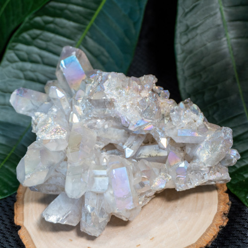 Angel Aura Cluster #15