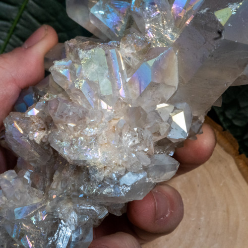 Angel Aura Cluster #15