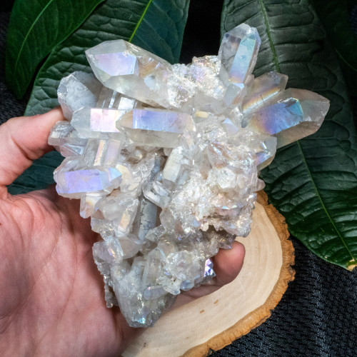 Angel Aura Cluster #15