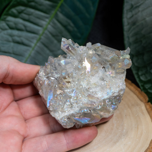 Angel Aura Cluster #14