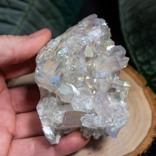 Angel Aura Cluster #10