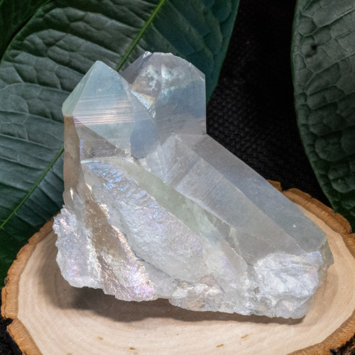 Angel Aura Cluster #8