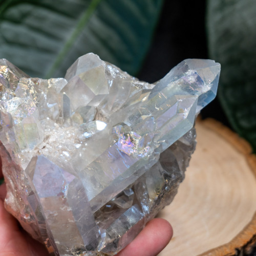 Angel Aura Cluster #5