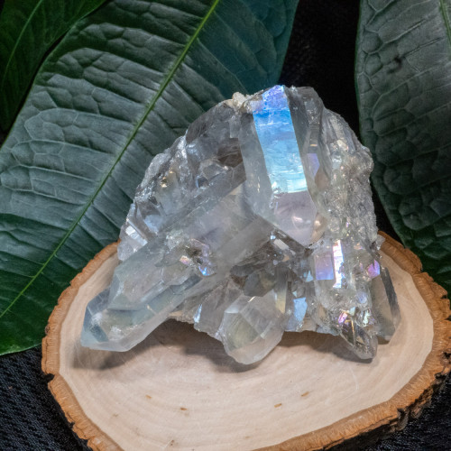 Angel Aura Cluster #5