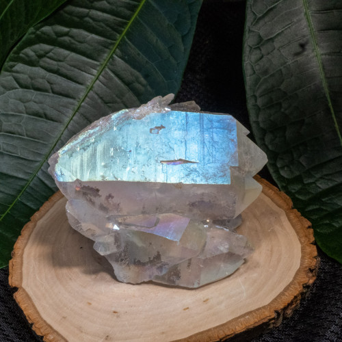 Angel Aura Cluster #4