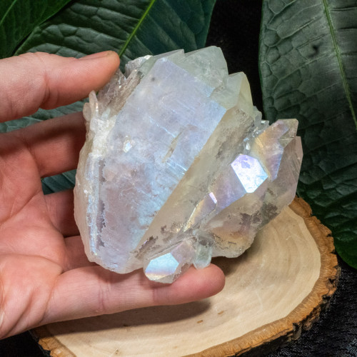 Angel Aura Cluster #4