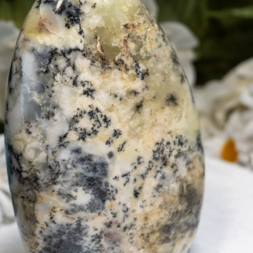 Dendritic Agate Freeform #1