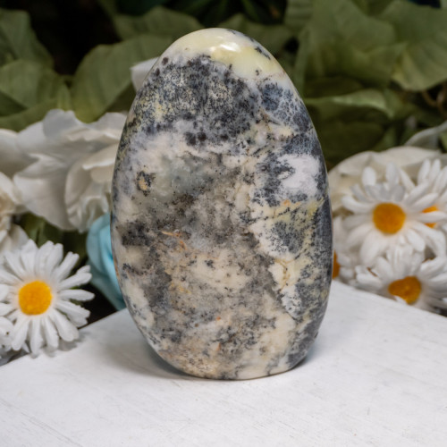 Dendritic Agate Freeform #1