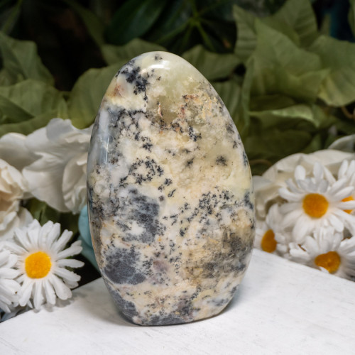 Dendritic Agate Freeform #1