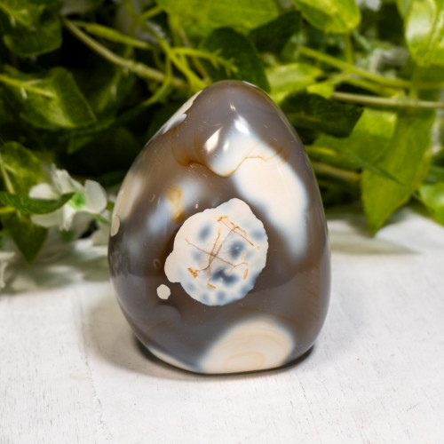 Orca Agate Freeform #5