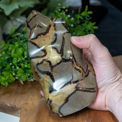 Septarian Flame #1
