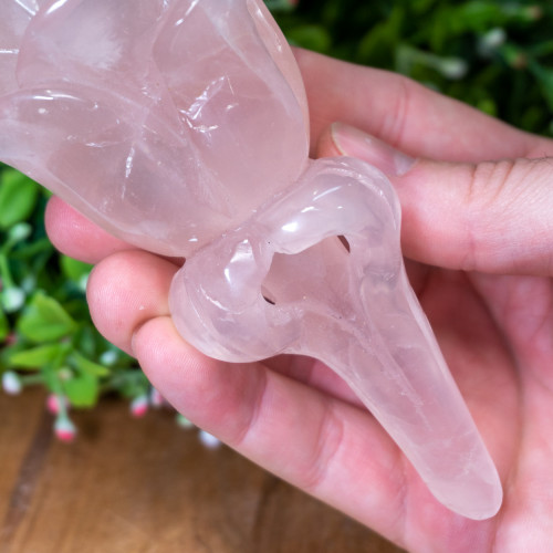 Rose Quartz Rose