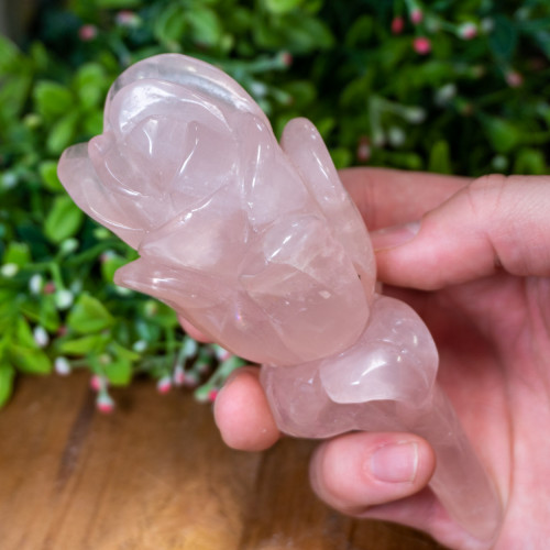Rose Quartz Rose
