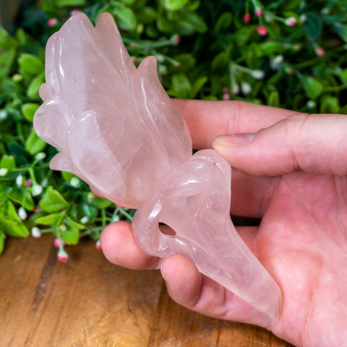 Rose Quartz Rose