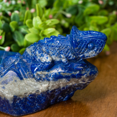 Lapis Lazuli Chameleon #1
