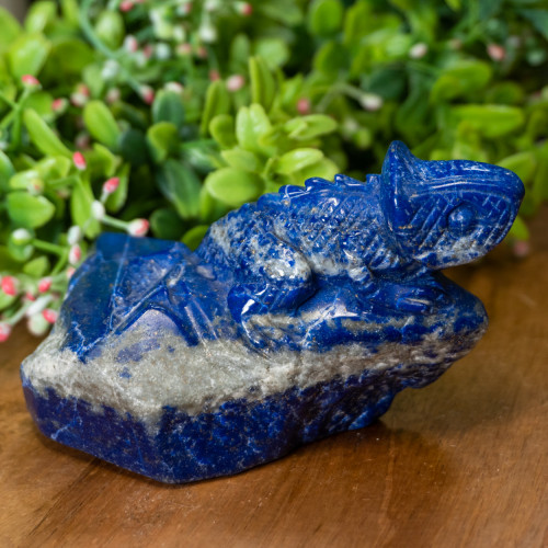 Lapis Lazuli Chameleon #1