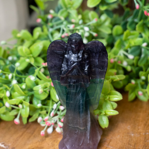 Multi Fluorite Angel