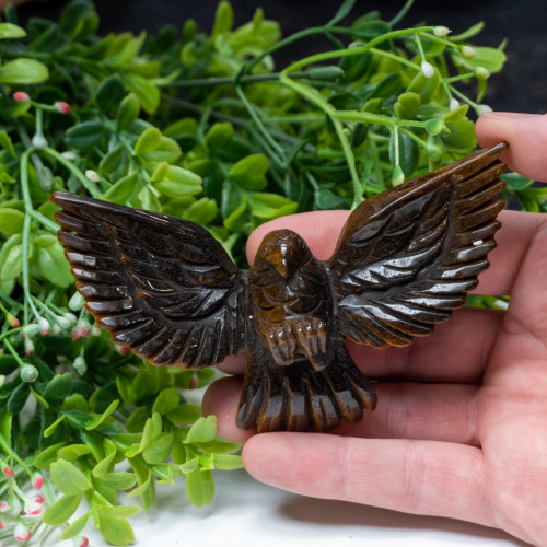 Tiger Eye Eagle