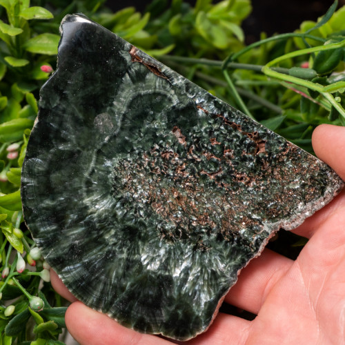 Seraphinite Slab #3
