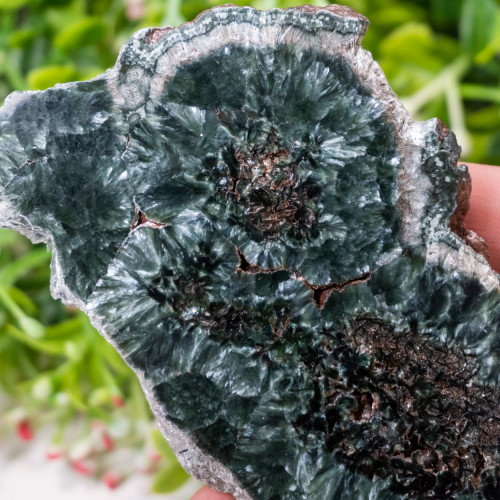 Seraphinite Slab #1