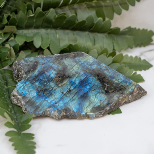 Half Polished Labradorite Slice #7