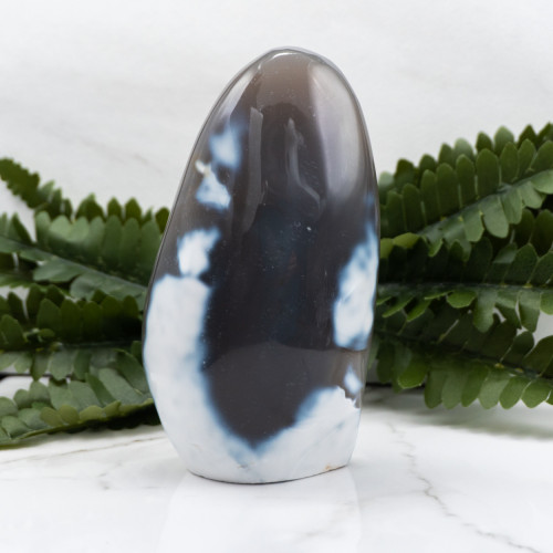 Orca Agate Freeform #9