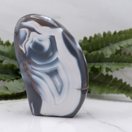 Orca Agate Freeform #8