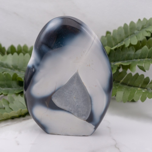 Orca Agate Freeform #6