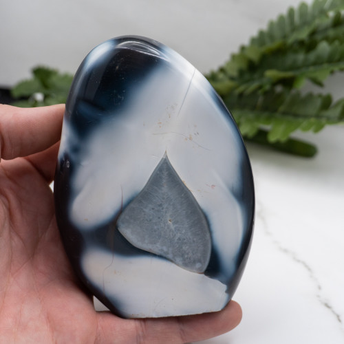 Orca Agate Freeform #6